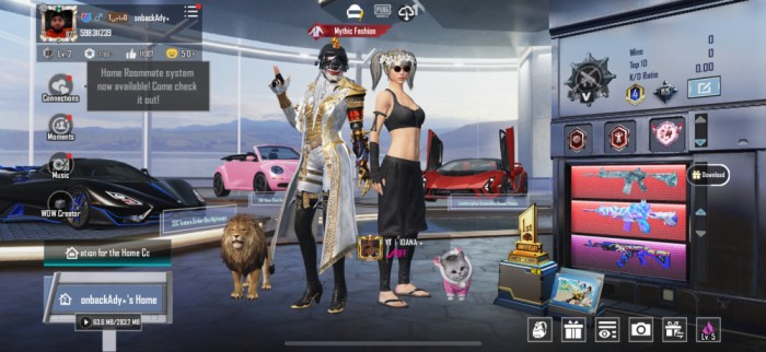 Pubg mobile cont vechi