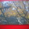 HOPCT 5450 TEMPLUL BUDA DORMIND -CHINA -ASIA-NECIRCULATA