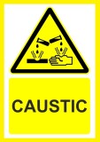 Placuta caustic