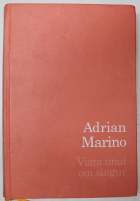 VIATA UNUI OM SINGUR de ADRIAN MARINO , 2010 foto