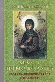 Arhimandrit Ioanichie Balan - Sfanta Teodora de la Sihla. Floarea duhovniceasca