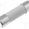 Siguranta fuzibila lenta, 10A, 250V AC, 5x20mm, LITTELFUSE - 0215010.MXEP