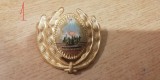 QW14 - Emblema militara / cuc - uscat - comunism - piesa de colectie