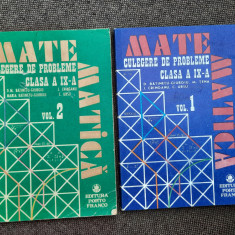 MATEMATICA CULEGERE DE PROBLEME CLASA A IX A D M BATINETU