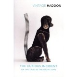 The Curious Incident of the Dog in the Night-Time