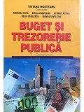 Tatiana Moșteanu - Buget și trezorerie publică (editia 2004)