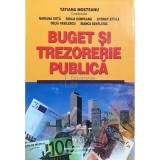 Tatiana Mosteanu - Buget si trezorerie publica (Editia: 2004)