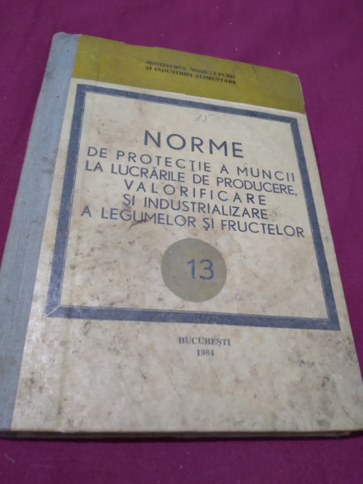 NORME DE PROTECTIA MUNCII VOL 13