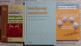 3 vol. Inteligenta emotionala (Berrocal - Cum sa invatam sa gestionam emotiile, Daniel Goleman - Creierul, Colectiv - Educatia copiilor) - stare buna