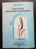 Liceul militar: adolescență (i)recuperabilă - Mihai Bejinaru