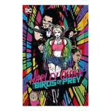 Harley Quinn and the Birds of Prey