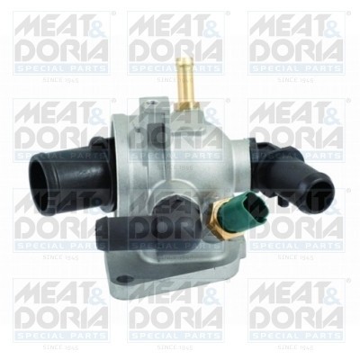 MEAT &amp;amp; DORIA 92561 termostat,lichid racire foto