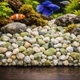 Pietriș decorativ pentru acvariu, 350g, Granulație 6-10mm, Bej, CMCLASS