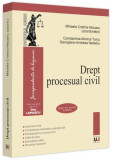 Drept procesual civil - Paperback brosat - Universul Juridic