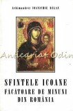 Sfintele Icoane Facatoare De Minuni Din Romania - Ioanichie Balan