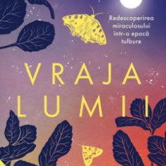 Vraja Lumii. Redescoperirea Miraculosului, Katherine May - Editura Nemira