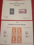 PRO FOUNDATION ETHIOPIA - 2 BLOCURI MNH