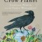 Crow Planet: Essential Wisdom from the Urban Wilderness