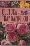 Cultura trandafirilor - Eckart Haenchen - Carte