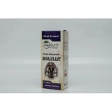 EXTRACT HIDROALCOOLIC RENALPLANT 200ML