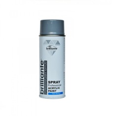 Vopsea Spray Brilliante Gri Argintiu RAL 7001 400 ml