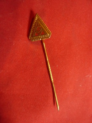 Insigna IGM -triunghiulara - Sindicatul Metalurgistilor ,h=1,5cm foto