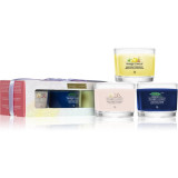 Cumpara ieftin Yankee Candle Art In The Park set cadou II.