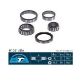 Set rulment roata HYUNDAI H-1 Starex (H200) caroserie (1997 - 2007) BTA H10514BTA