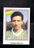 B10 - Sticker fotbal - Campionatul mondial USA - 1994 - nr 173