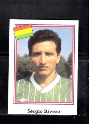 B10 - Sticker fotbal - Campionatul mondial USA - 1994 - nr 173 foto