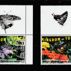 Tonga 2016-Fauna,Fluturi,serie 2 valori,cu vignete,dantelate,MNH,Mi.2048-2049