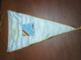 fanion Federatia Romana de Natatie , Romania RSR.