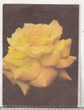 bnk cld Calendar de buzunar 1987 Revista Femeia
