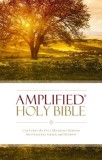 Amplified Bible-Am: Captures the Full Meaning Behind the Original Greek and Hebrew