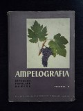 Ampelografia Republicii Populare Romane, vol. 5
