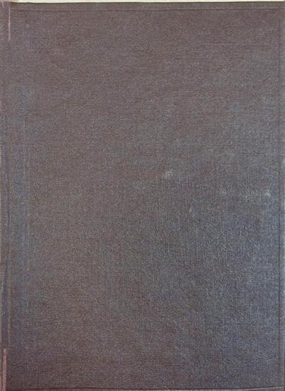 Calculul integral - N. N. Luzin