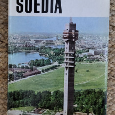 SUEDIA -DORIN IANCU