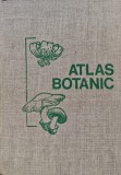 Cumpara ieftin Atlas Botanic (1973) - 1973 - Lucia Popovici (BB119)