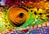 Fototapet autocolant Cameleon, 200 x 150 cm