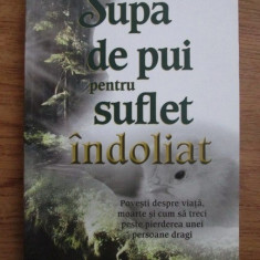 SUPA DE PUI PENTRU SUFLET INDOLIAT - JACK CANFIELD