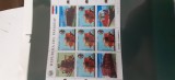 Paraguay-Transport,locomotive ,trenuri-kleinbogen nestampilat MNH-(T6)