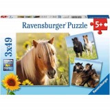 Cumpara ieftin Puzzle Cai, 3X49 Piese, Ravensburger