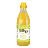 Sampon Iv San Bernard Maracuja, pentru caini si pisici, 1l