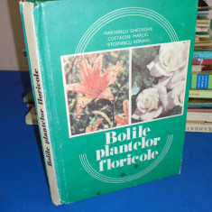 MARINESCU GHEORGHE - BOLILE PLANTELOR FLORICOLE , 1988