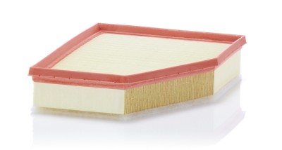 MANN-FILTER C 28 038 Filtru aer foto