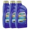 Pachet 3 litri ulei Ravenol 4T Watercraft