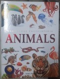 Knowledge encyclopedia Animals ( enciclopedia cunoasterii, animalele - carte im limba engleza )