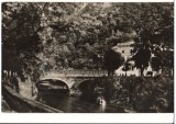 CPIB 17423 CARTE POSTALA - BAILE HERCULANE. POD ACOPERIT PESTE CERNA, RPR