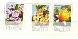 Nicaragua 1974 Flowers, MNH A.98, Nestampilat