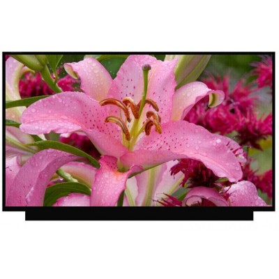 Display Laptop, NV156FHM-NY9, 15.6 inch, LED, FHD, 165Hz, conector ingust 20mm, 165Hz, 40 pini foto